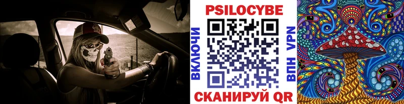 Псилоцибиновые грибы мухоморы где найти наркотики Кондопога